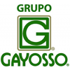 Grupo Gayosso Mexico Jobs Expertini